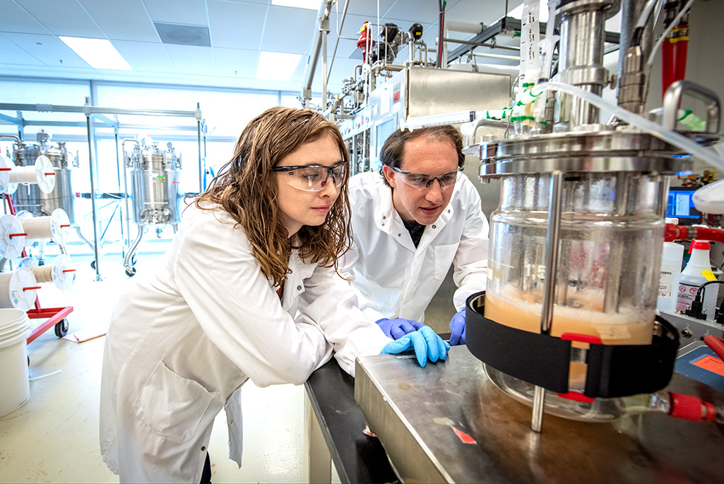 Two researchers, a woman and a man, observe the reaction in an experimental setup.